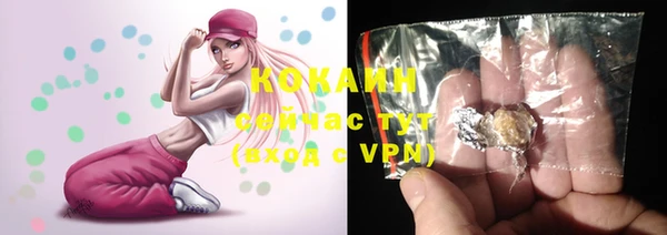 дживик Арсеньев