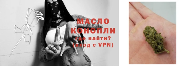 дживик Арсеньев
