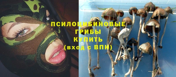 дживик Арсеньев