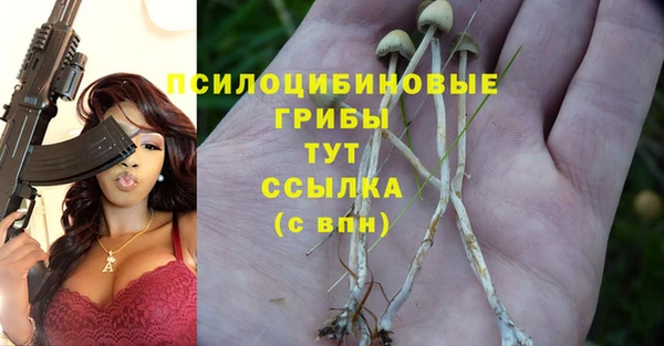 ECSTASY Аркадак